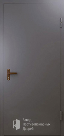 Фото двери «Техническая дверь №1 однопольная» в Видному