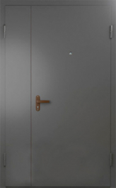 Фото двери «Техническая дверь №6 полуторная» в Видному